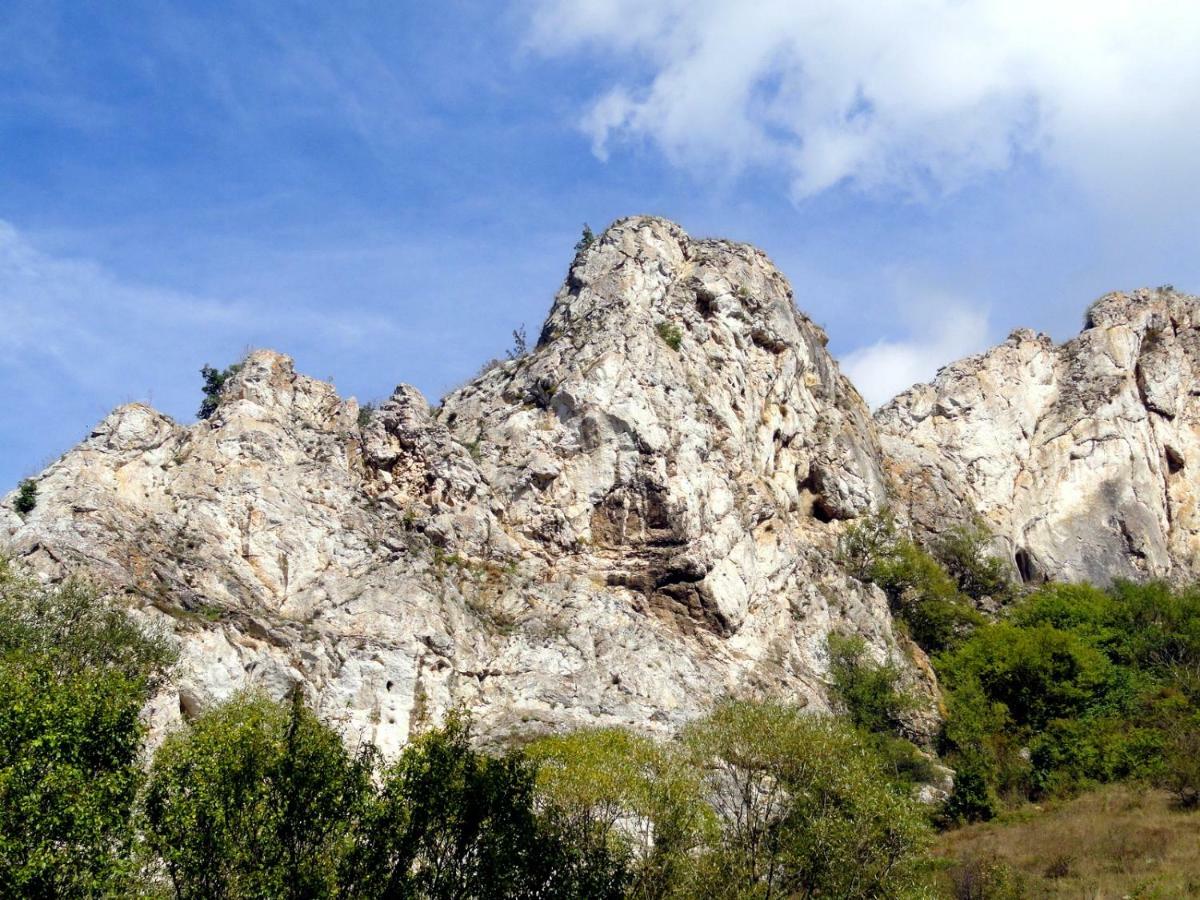 Hotel Aleksievata Kashta Gurgulyat Esterno foto