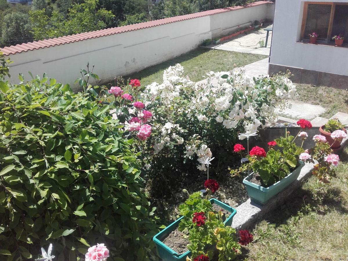 Hotel Aleksievata Kashta Gurgulyat Esterno foto